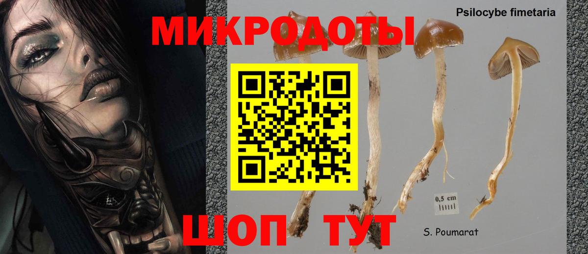 Галлюциногенные грибы Cubensis  Вход с VPN  где продают   Кондопога 
