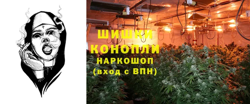 Марихуана THC 21%  Кондопога 